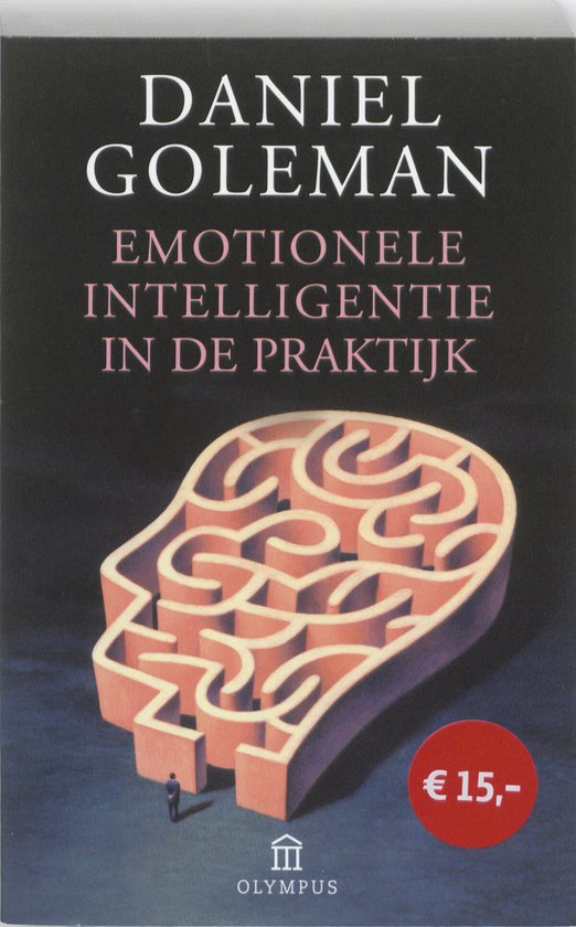 Emotienele Inteligentie In De Praktijk