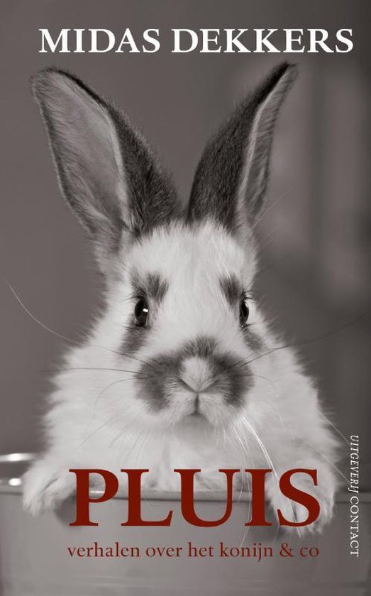 Pluis