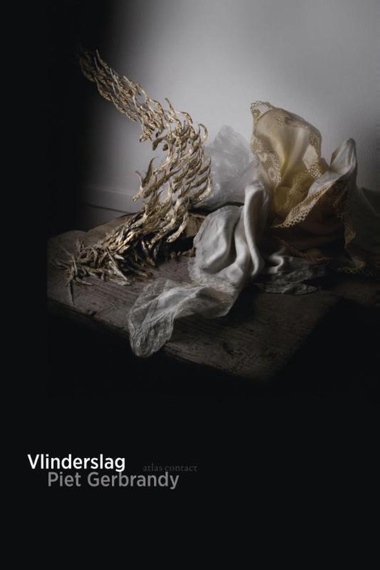 Vlinderslag