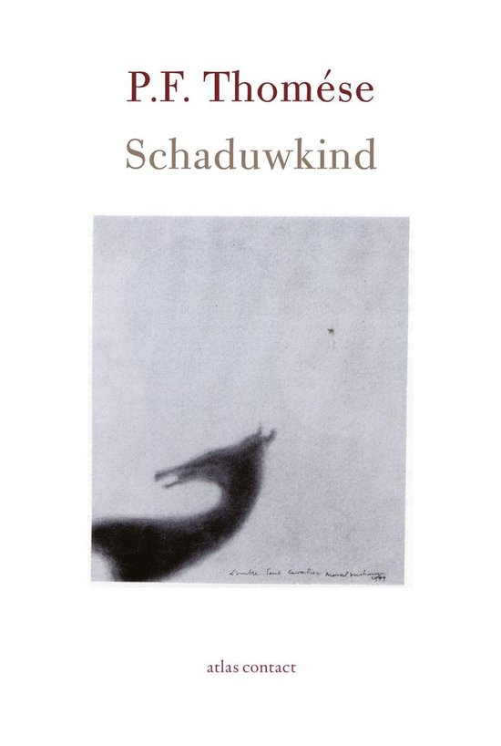 Schaduwkind