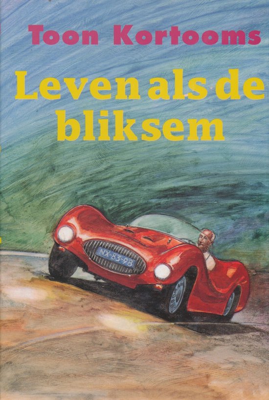 Leven Als De Bliksem