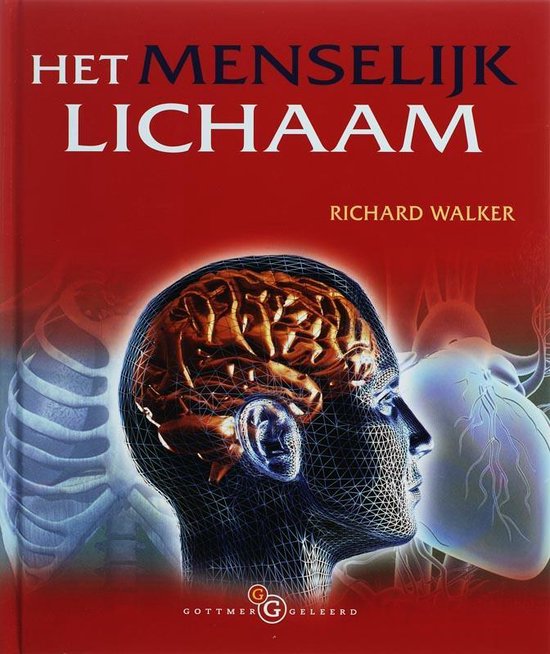 Gottmer Geleerd Het Menselijk Lichaam