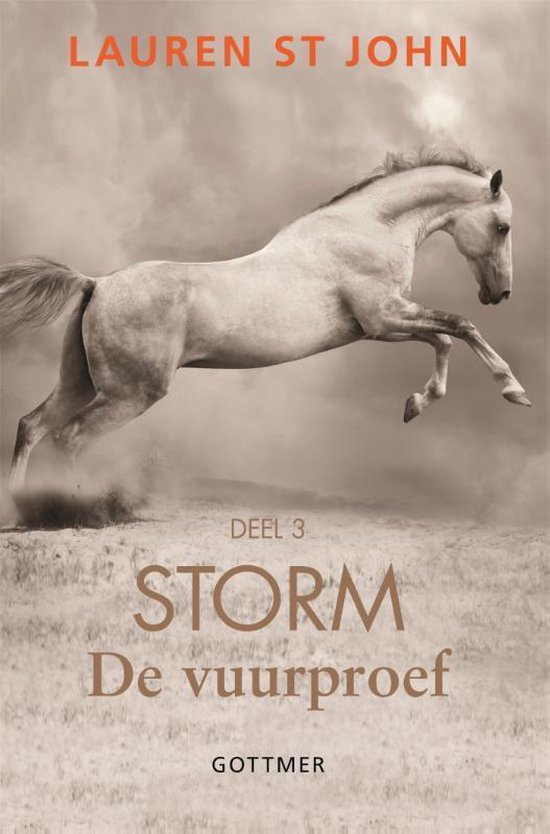 Storm 3 - De vuurproef