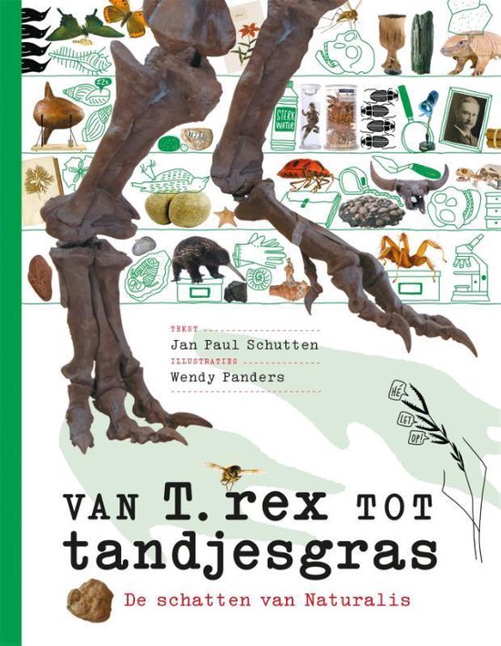 Van T. rex tot tandjesgras