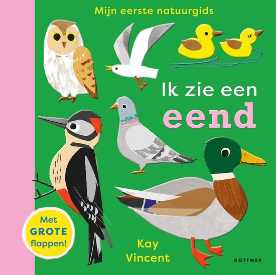 Mijn eerste natuurgids - Ik zie een eend