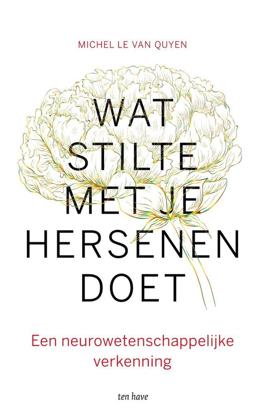 Wat stilte met je hersenen doet