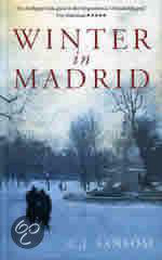 Winter In Madrid