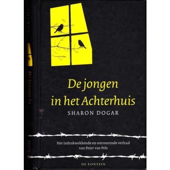 De Jongen In Het Achterhuis