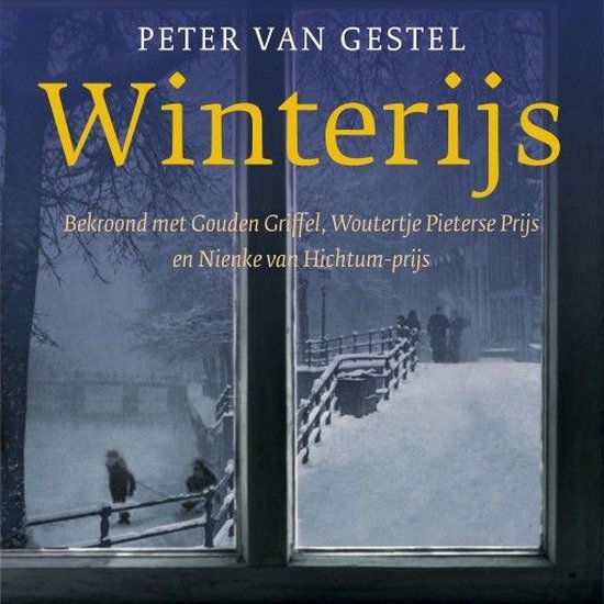 Winterijs