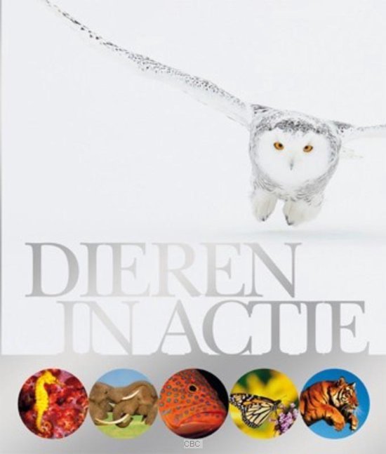 Dieren in actie