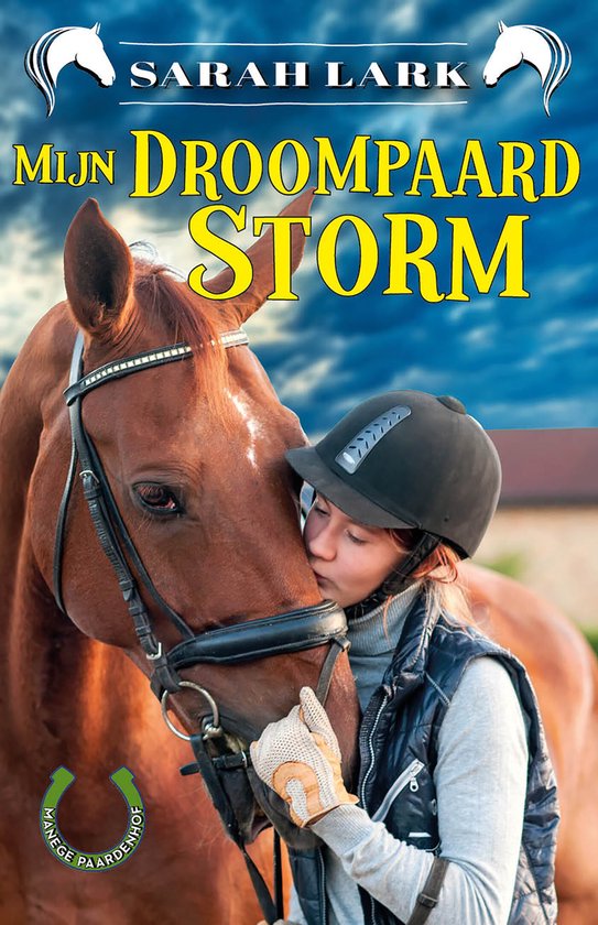 Manege Paardenhof 2 - Mijn droompaard Storm