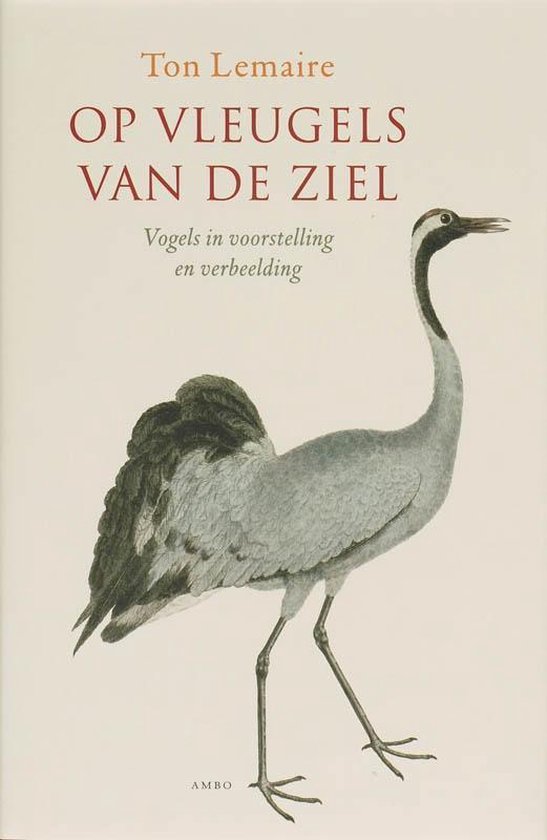 Op vleugels van de ziel