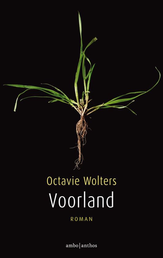 Voorland