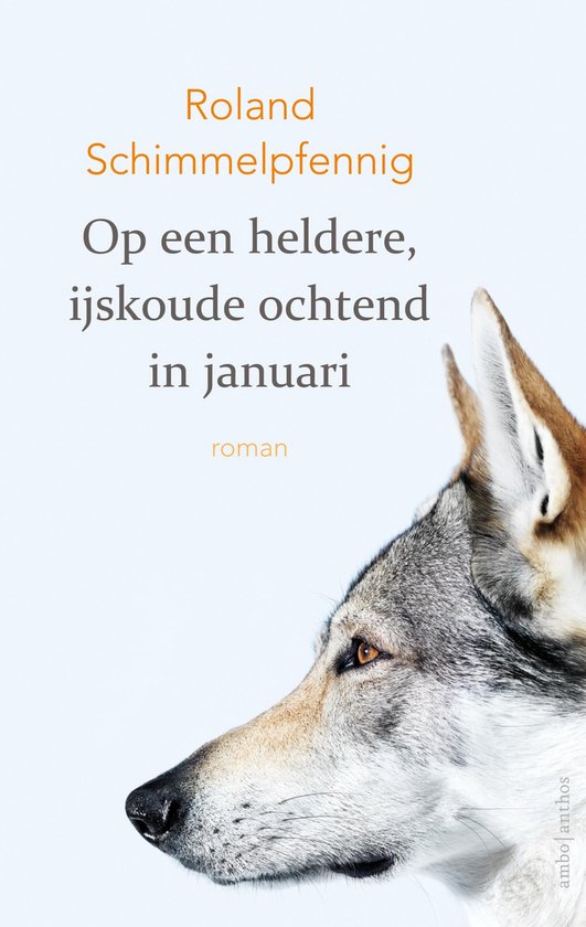 Op eenheldere, ijskoude ochtend in januari