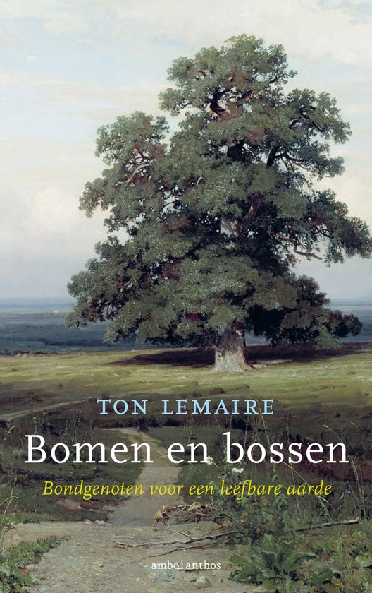 Bomen en bossen