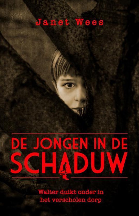 De jongen in de schaduw