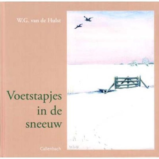 Voetstapjes In De Sneeuw