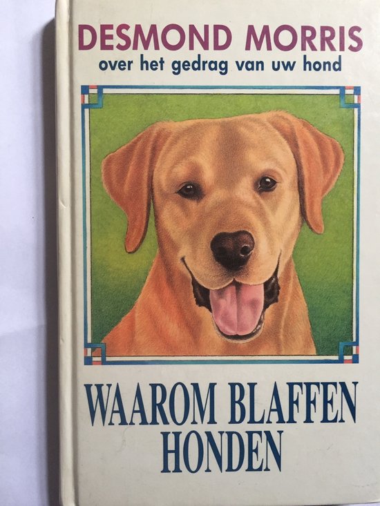 Waarom blaffen honden