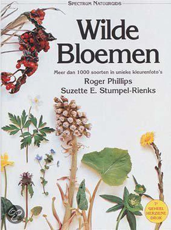 Wilde bloemen