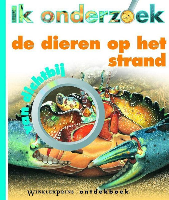 Ik Onderzoek De Dieren Op Het Strand Van Dichtbij