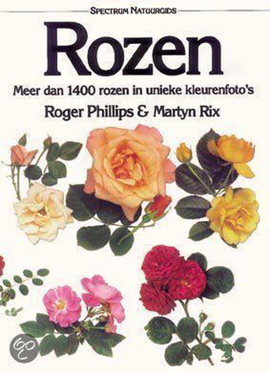 Rozen