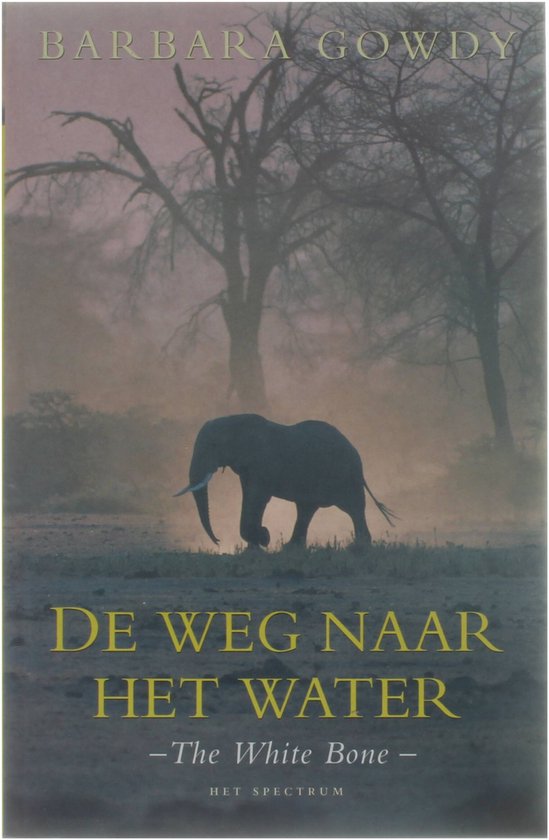 De weg naar het water