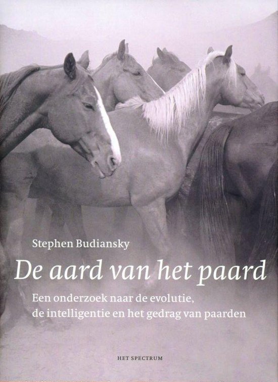 De Aard Van Het Paard