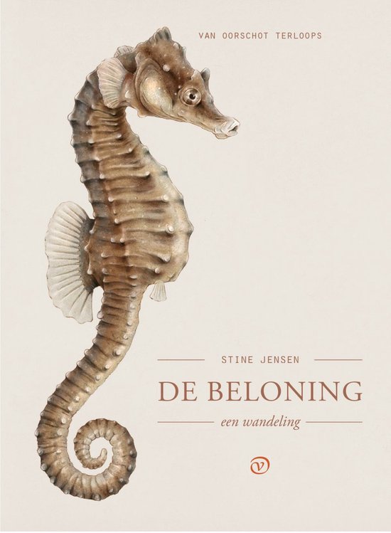 Terloops - De beloning