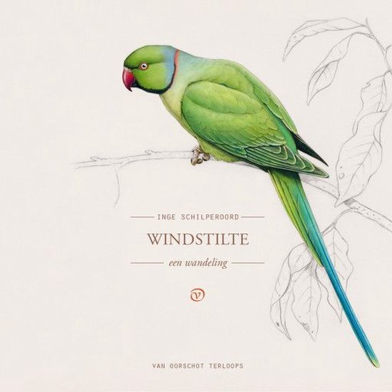 Windstilte