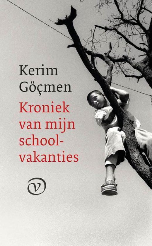 Kroniek van mijn schoolvakanties