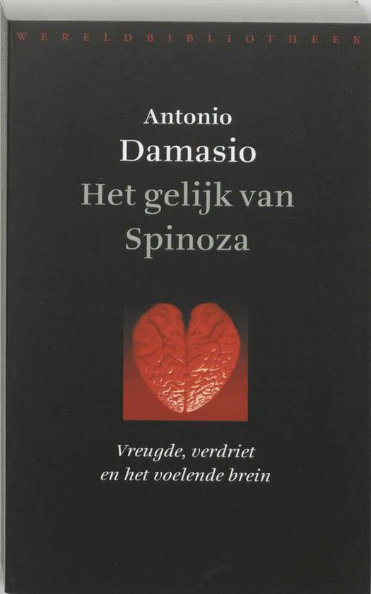 Het gelijk van Spinoza