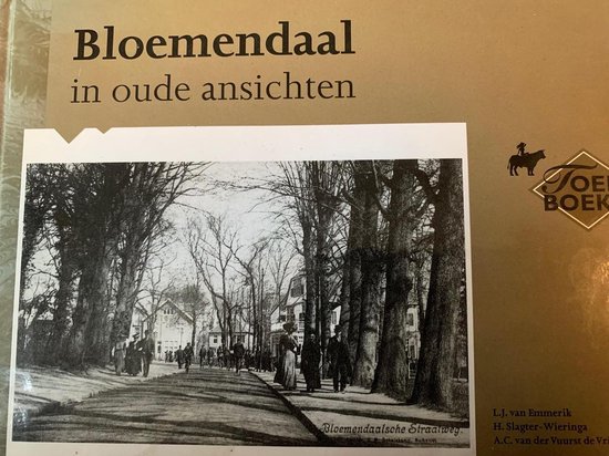 Bloemendaal in oude ansichten