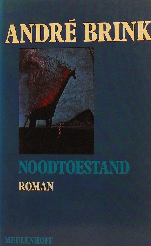 Noodtoestand