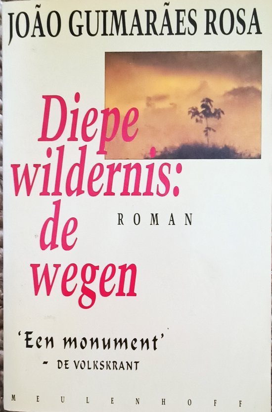 Diepe wildernis: de wegen