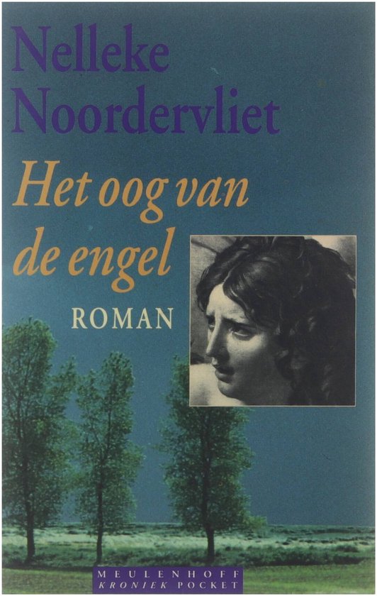 Het oog van de engel : roman