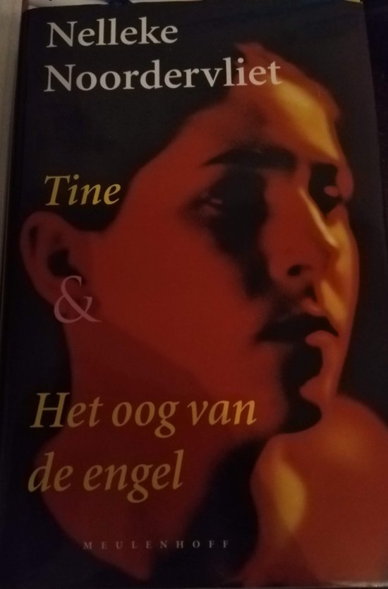 Tine En Het Oog Van De Engel