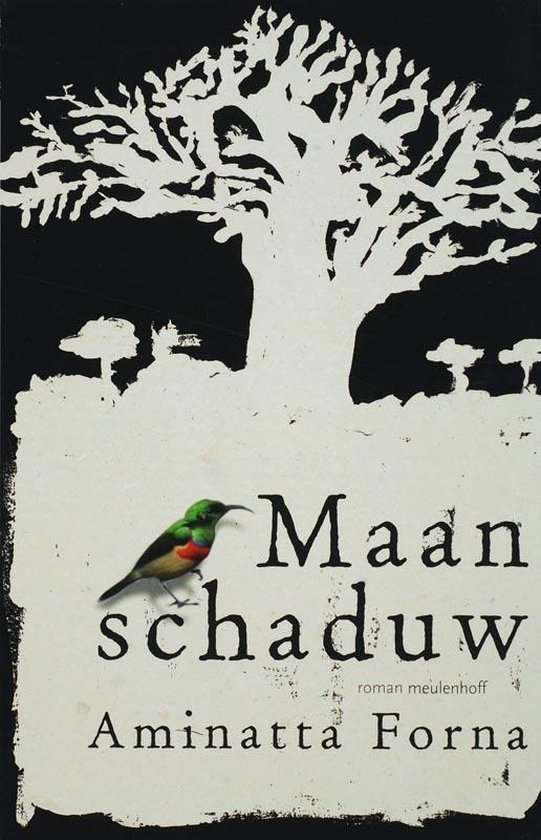 Maanschaduw