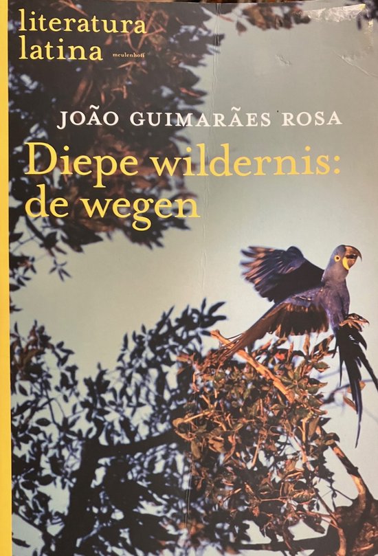 Diepe wildernis: de wegen