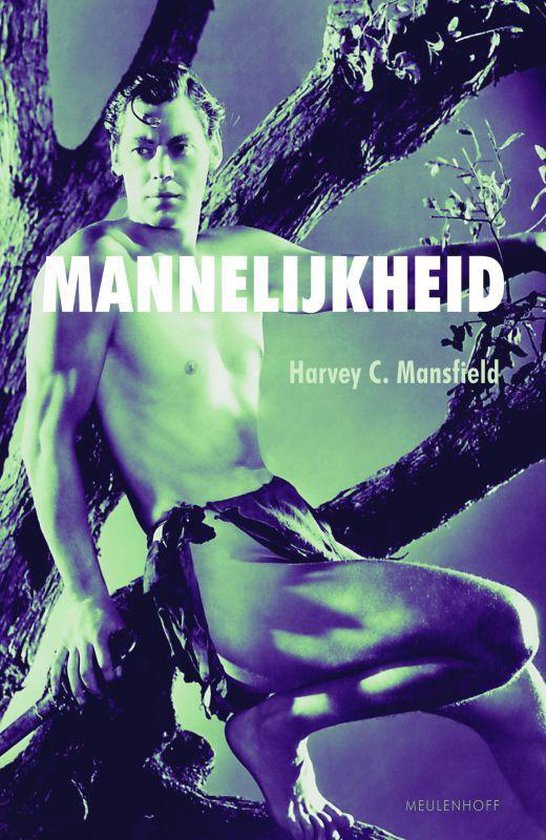 Mannelijkheid