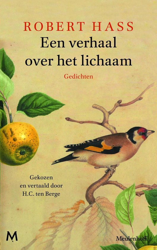 Een verhaal over het lichaam