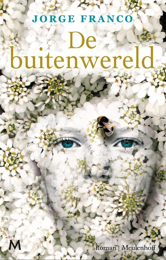 De buitenwereld