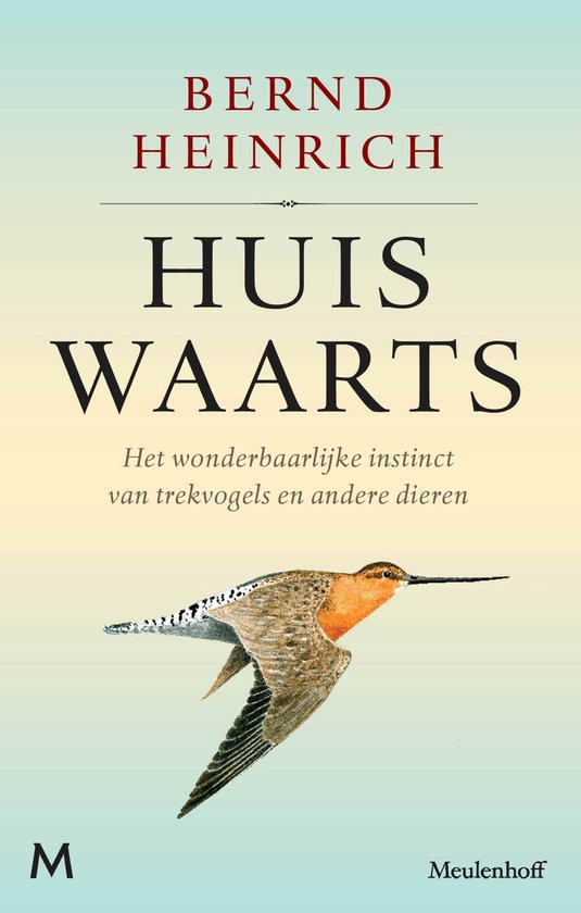 Huiswaarts