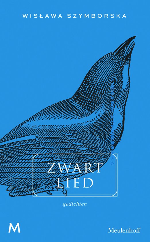 Zwart lied