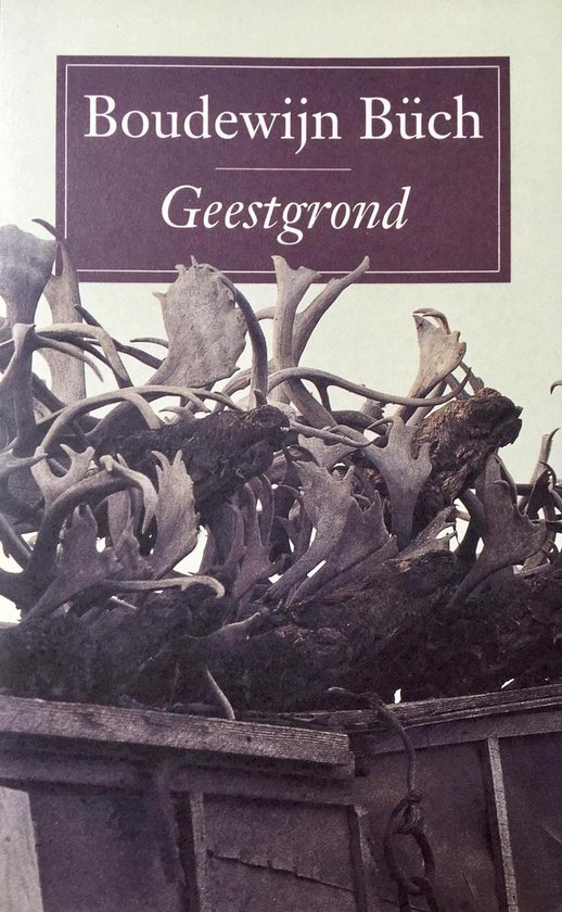 Geestgrond