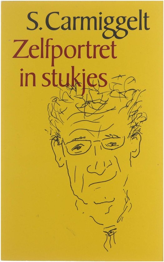 Zelfportret in stukjes