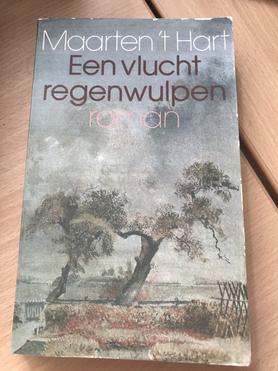 Een vlucht regenwulpen