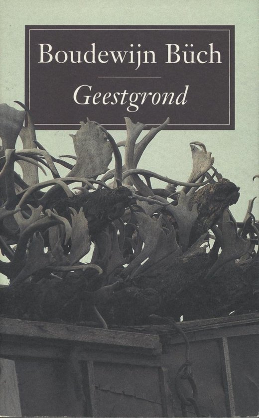 Geestgrond