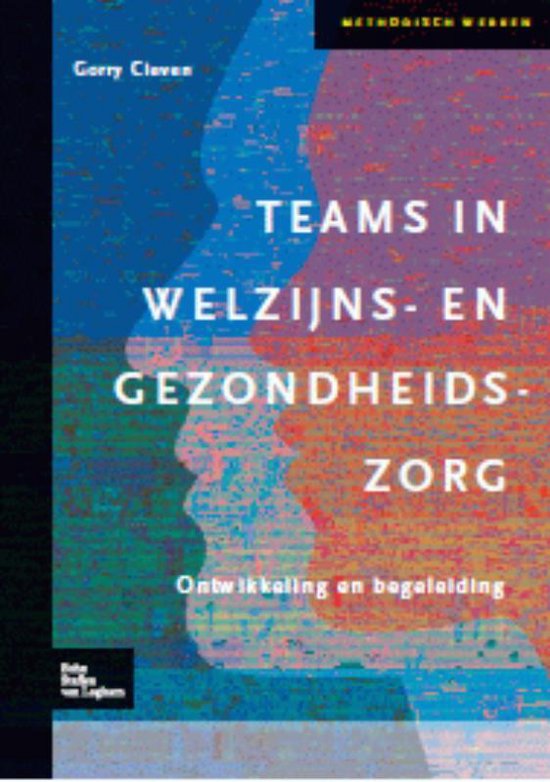 Methodisch werken - Teams in welzijns- en gezondheidszorg