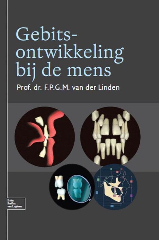 Gebitsontwikkeling bij de mens