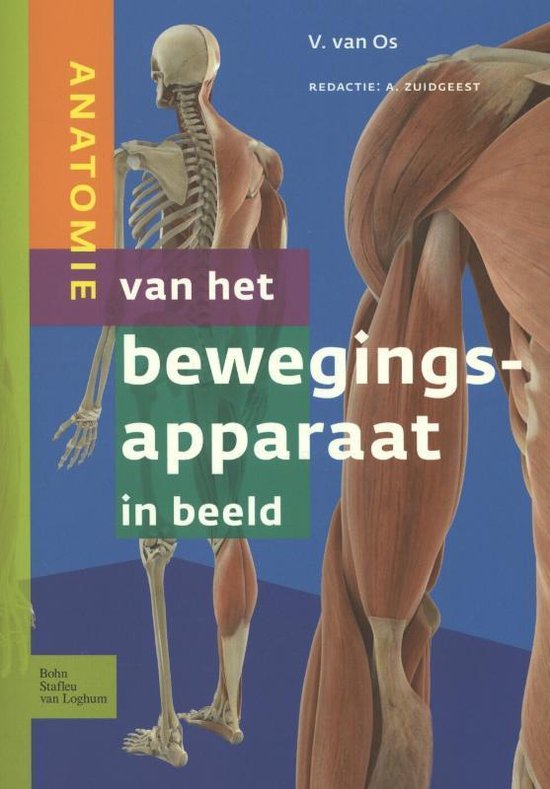 Anatomie van het bewegingsapparaat in beeld